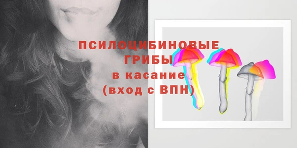 индика Белоозёрский