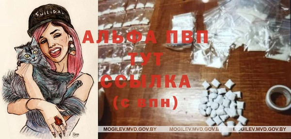 индика Белоозёрский