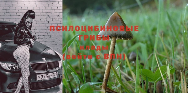 марки lsd Сосновка