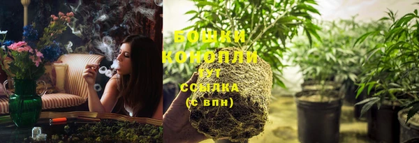 индика Белоозёрский